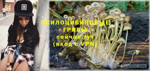 героин Ладушкин