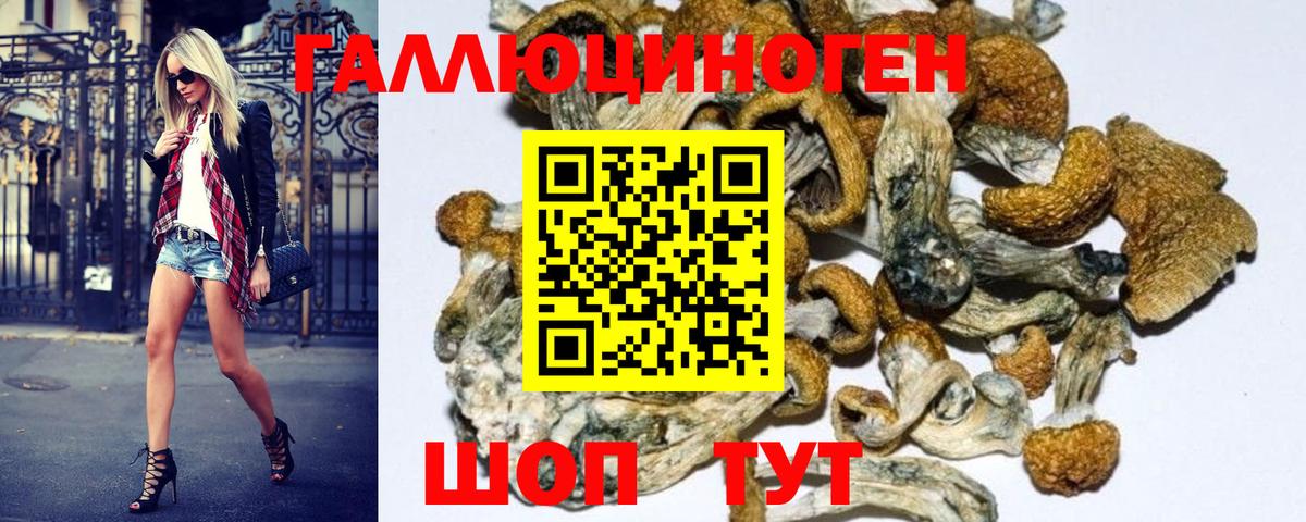 Псилоцибиновые грибы MAGIC MUSHROOMS Лесозаводск
