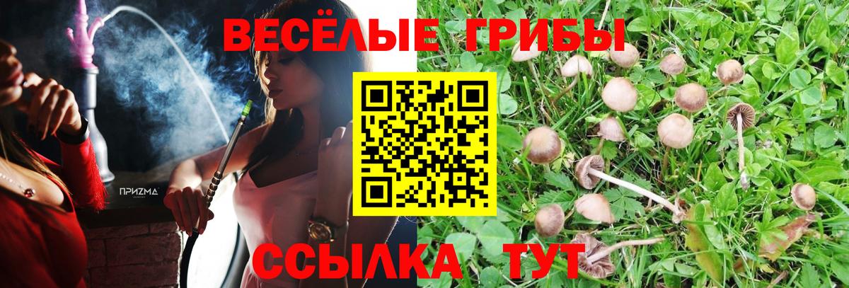 Псилоцибиновые грибы Cubensis  Псилоцибиновые грибы MAGIC MUSHROOMS  Вход с VPN  Лесозаводск 
